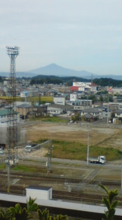 横手の〆に、ババヘラのバラ盛り